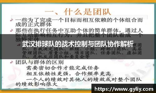 武汉排球队的战术控制与团队协作解析